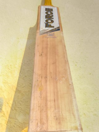 Grain close-up