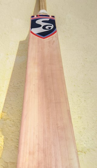Grain close-up